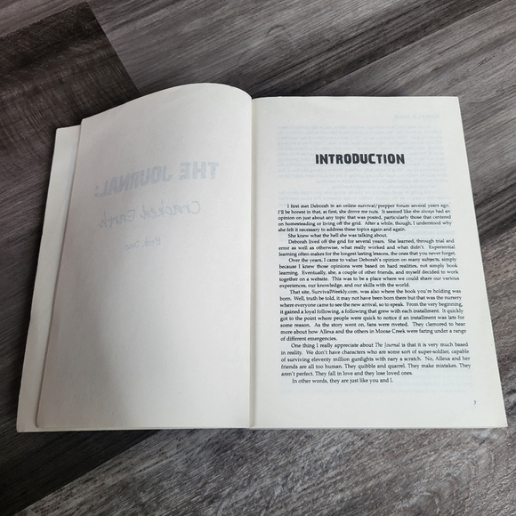 ⭐️ The Journal Series by Deborah D. Moore ⭐️ 3 FOR $20 - Picture 2 of 4